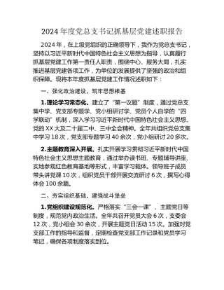 2024年度党总支书记抓基层党建述职报告