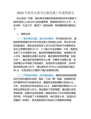 2024年度党支部书记抓党建工作述职报告