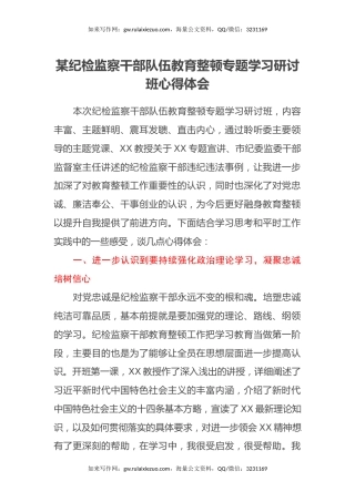 某纪检监察干部队伍教育整顿专题学习研讨班心得体会