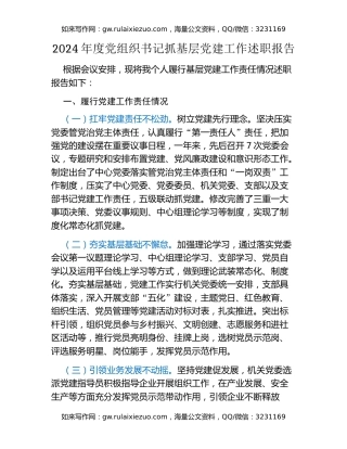2024年度党组织书记抓基层党建工作述职报告