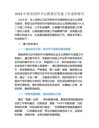 2024年度党组织书记抓基层党建工作述职报告（公司）