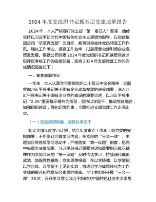 2024年度党组织书记抓基层党建述职报告