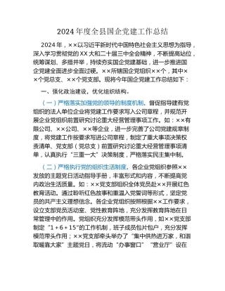 2024年度全县国企党建工作总结