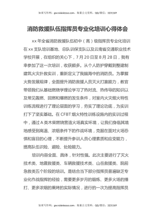 消防救援队伍指挥员专业化培训心得体会