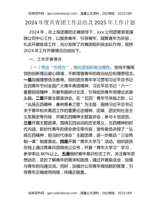 2024年度共青团工作总结及2025年工作计划