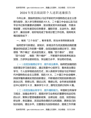 2024年度县级副职个人述职述廉报告