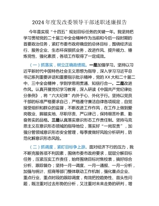 2024年度发改委领导干部述职述廉报告