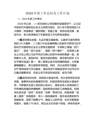 2024年度工作总结及工作计划