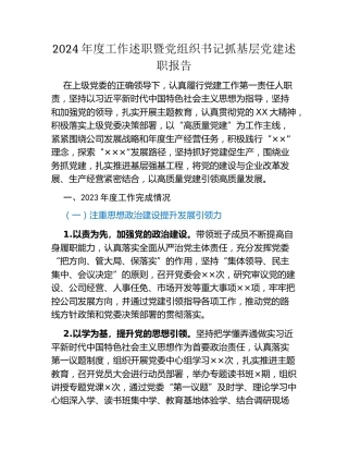 2024年度工作述职暨党组织书记抓基层党建述职报告