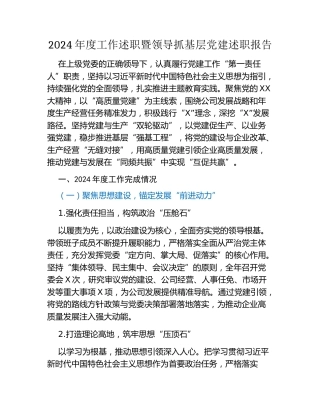 2024年度工作述职暨领导抓基层党建述职报告