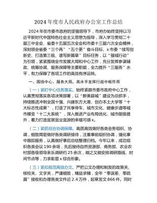 2024年度市人民政府办公室工作总结