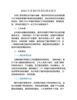 2024年度强村带弱村情况报告