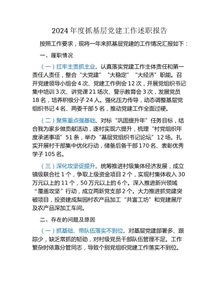 2024年度抓基层党建工作述职报告 (2)