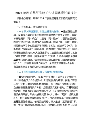 2024年度抓基层党建工作述职述责述廉报告