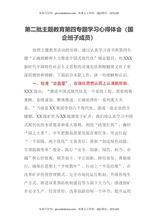 第二批主题教育第四专题学习心得体会（国企班子成员）