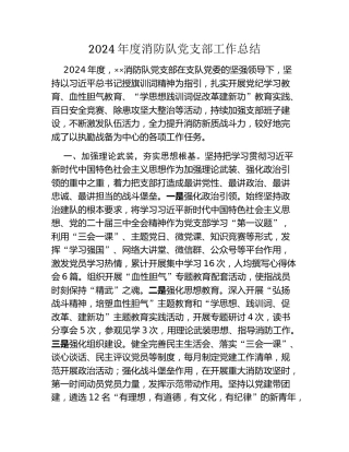 2024年度消防队党支部工作总结