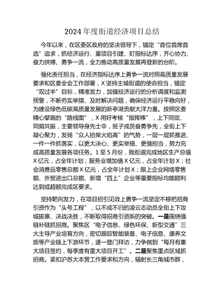 2024年度街道经济项目总结
