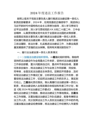 2024年度述法工作报告