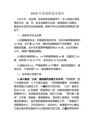 2024年度述职述责报告