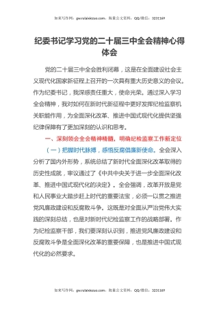 纪委书记学习党的二十届三中全会精神心得体会
