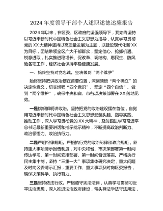 2024年度领导干部个人述职述德述廉报告