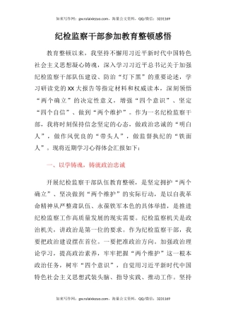 纪检监察干部参加教育整顿感悟（心得体会）