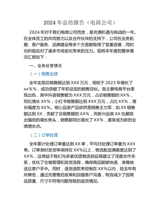 2024年总结报告(电商公司)