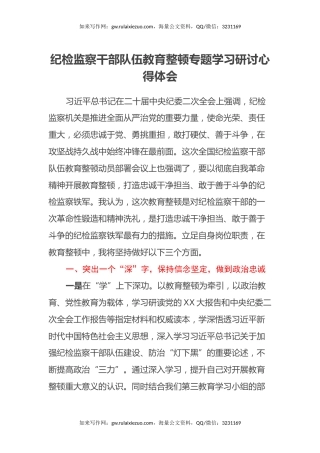 纪检监察干部队伍教育整顿专题学习研讨心得体会