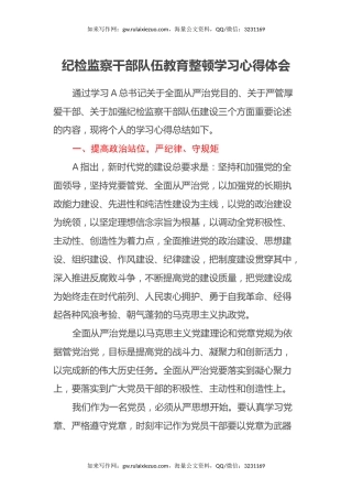 纪检监察干部队伍教育整顿学习心得体会 (2)