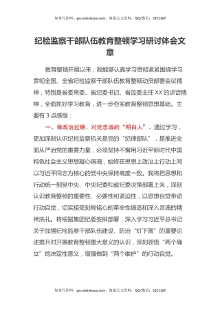 纪检监察干部队伍教育整顿学习研讨心得体会文章