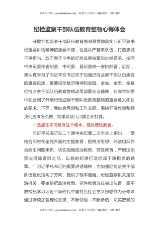 纪检监察干部队伍教育整顿心得体会 (2)