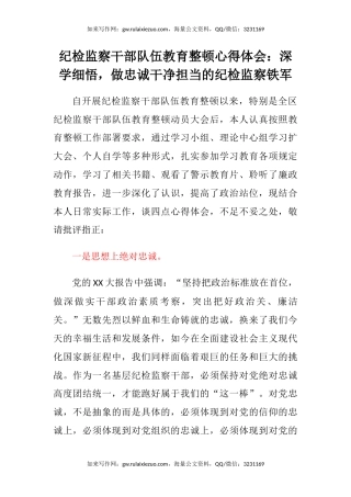 纪检监察干部队伍教育整顿心得体会：深学细悟，做忠诚干净担当的纪检监察铁军