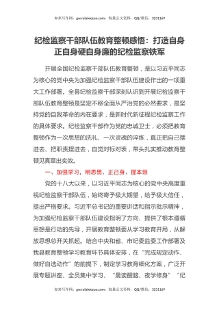 纪检监察干部队伍教育整顿感悟：打造自身正自身硬自身廉的纪检监察铁军（心得体会）