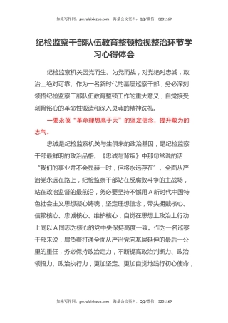 纪检监察干部队伍教育整顿检视整治环节学习心得体会