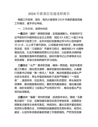2024年抓基层党建述职报告