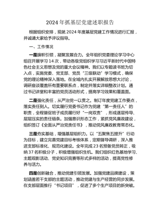2024年抓基层党建述职报告 (2)