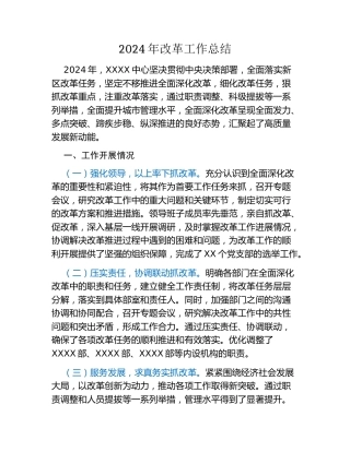 2024年改革工作总结