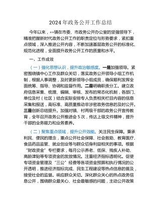 2024年政务公开工作总结