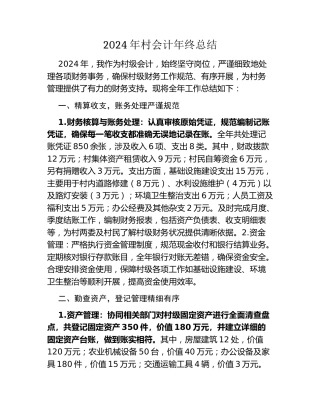 2024年村会计年终总结