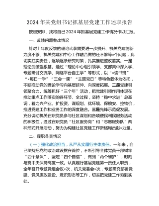 2024年某党组书记抓基层党建工作述职报告