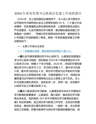 2024年某局党委书记抓基层党建工作述职报告