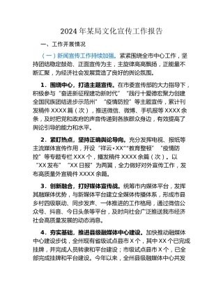 2024年某局文化宣传工作报告