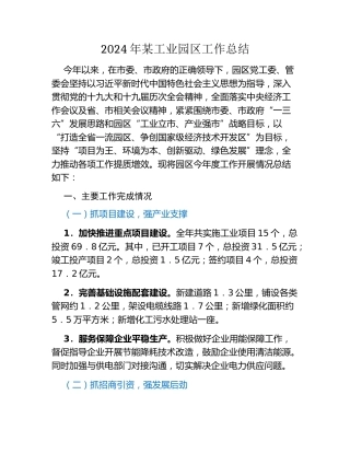 2024年某工业园区工作总结