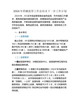 2024年药械监管工作总结及下一步工作计划