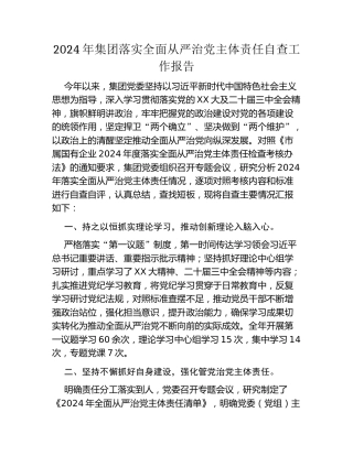 2024年集团落实全面从严治党主体责任自查工作报告