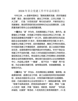 2024年非公党建工作半年总结报告
