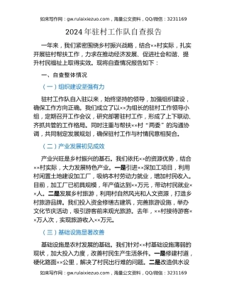 2024年驻村工作队自查报告