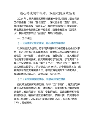 2024年高校护理系党总支书记抓基层党建工作述职报告