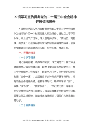 XX镇学习宣传贯彻党的二十届三中全会精神开展情况报告