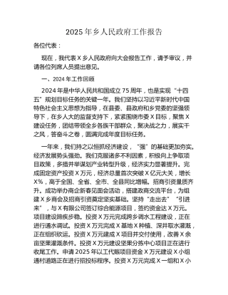 2025年乡人民政府工作报告